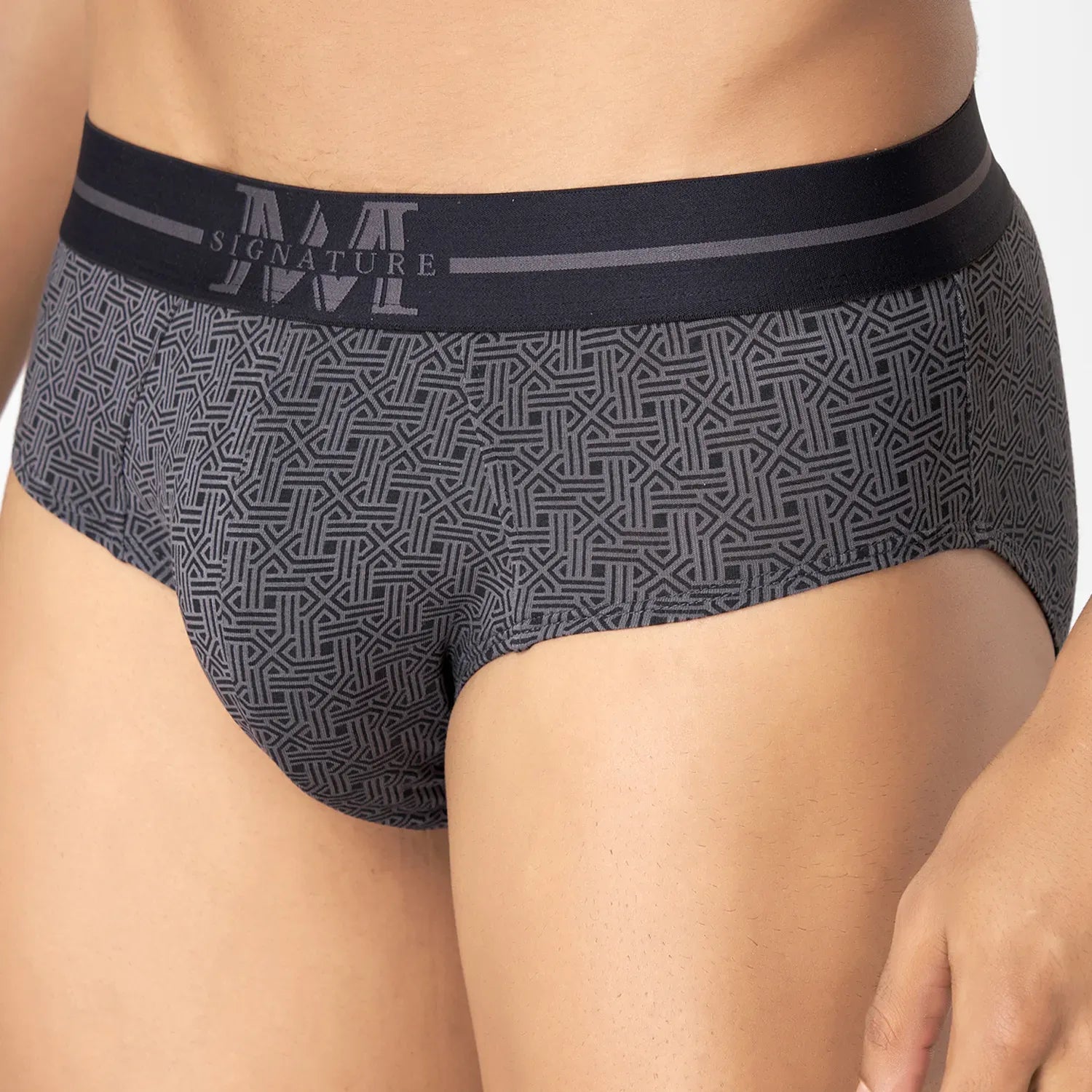 MicroModal Printed Brief_ MMS8521