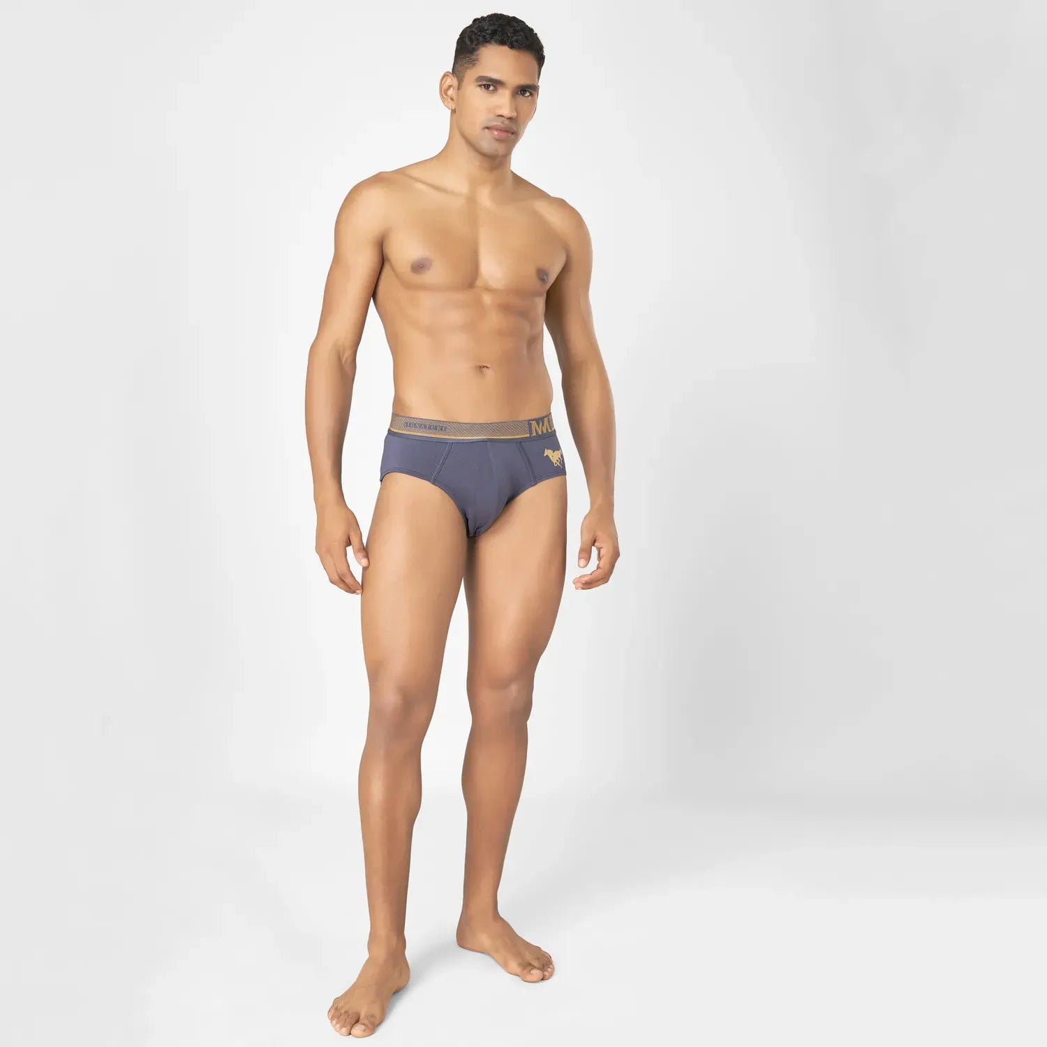 Supima Cotton Briefs_ MMS8501