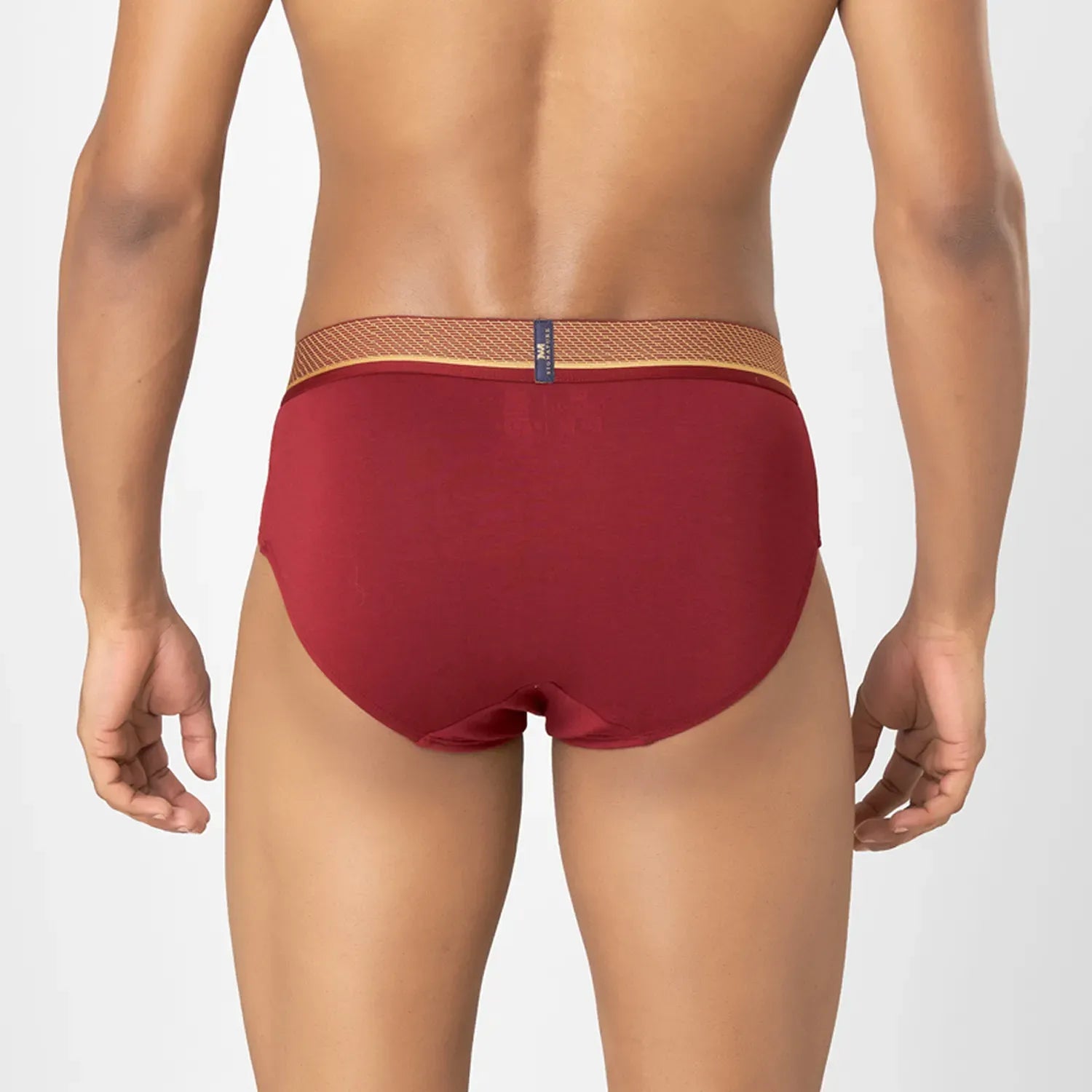 Supima Cotton Briefs_ MMS8501