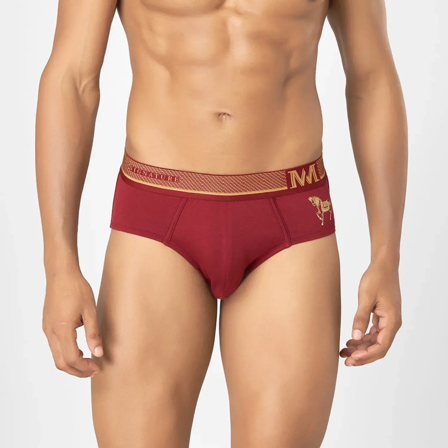 Supima Cotton Briefs_ MMS8501