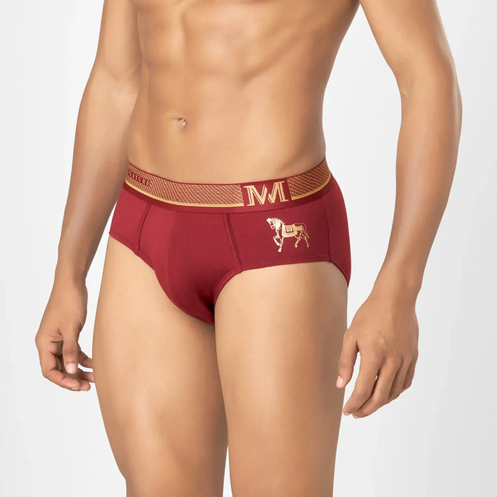 Supima Cotton Briefs_ MMS8501