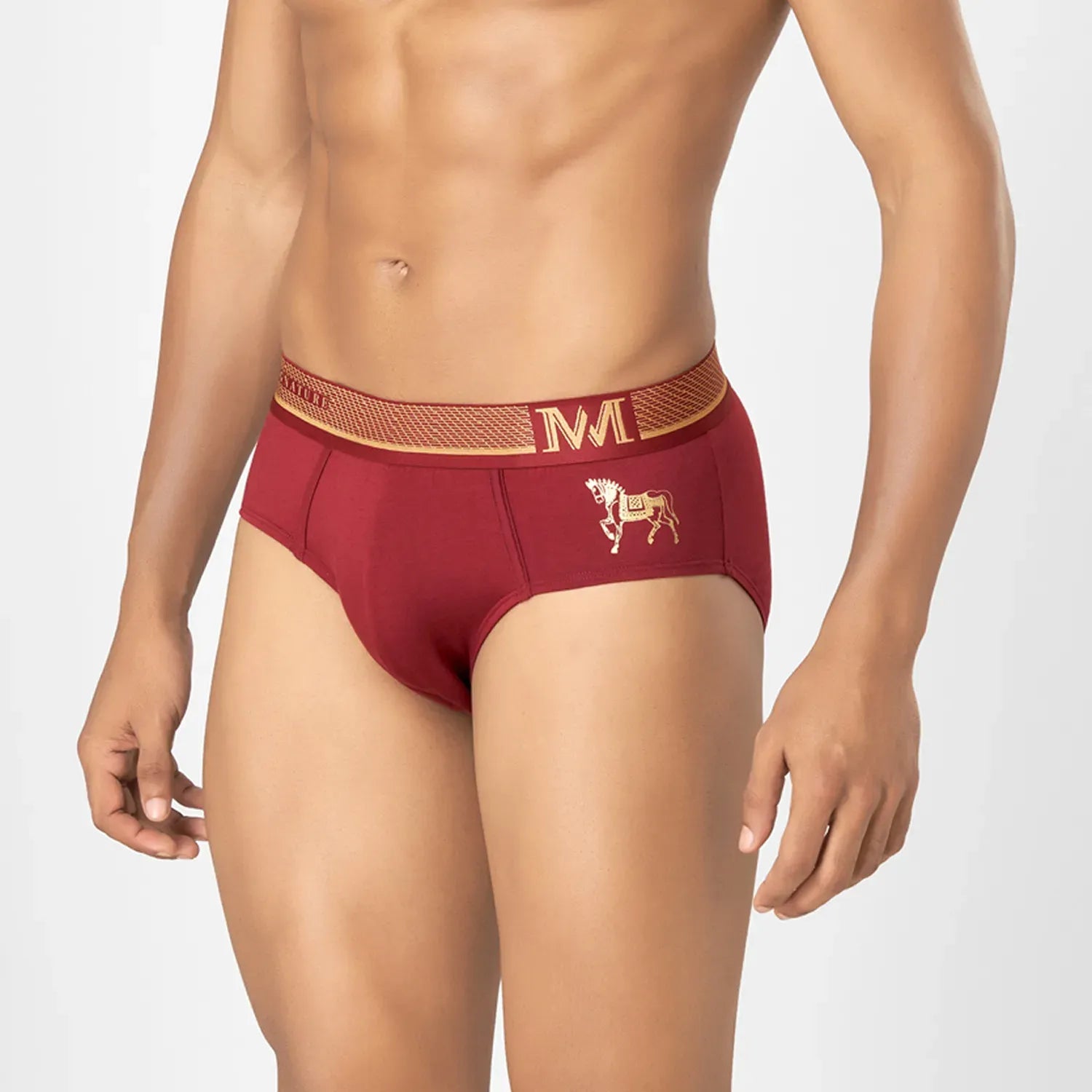 Supima Cotton Briefs_ MMS8501