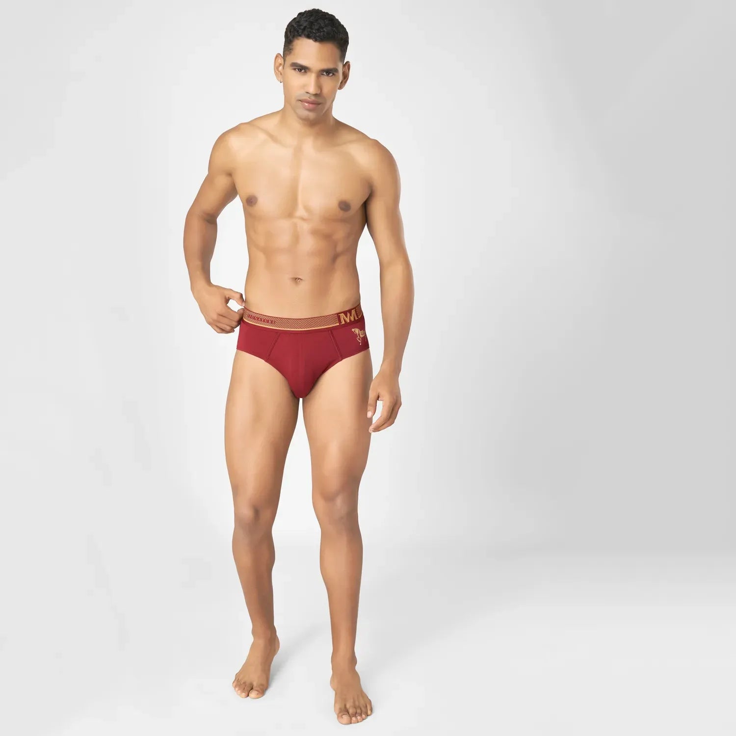 Supima Cotton Briefs_ MMS8501