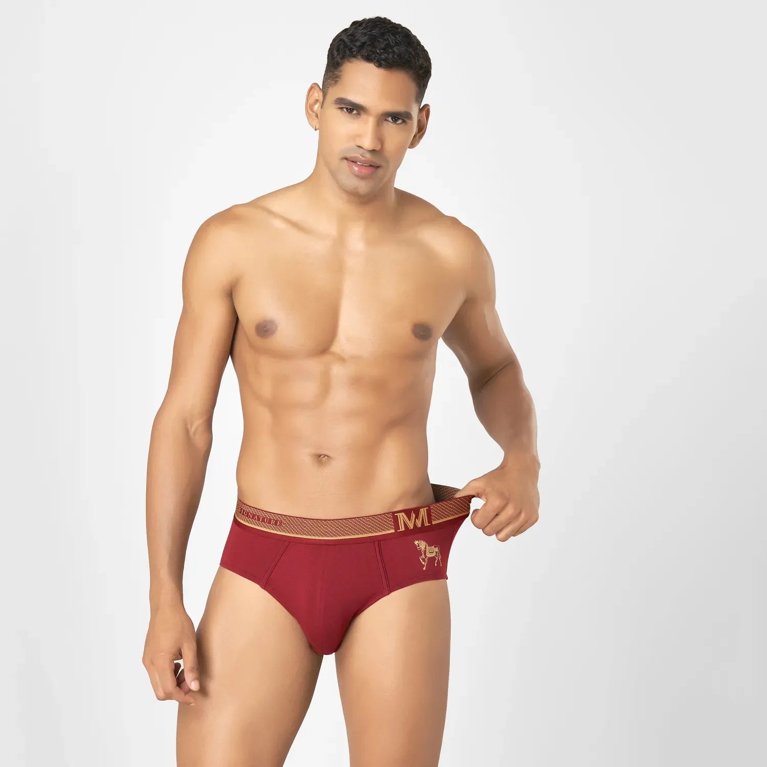 Supima Cotton Briefs_ MMS8501