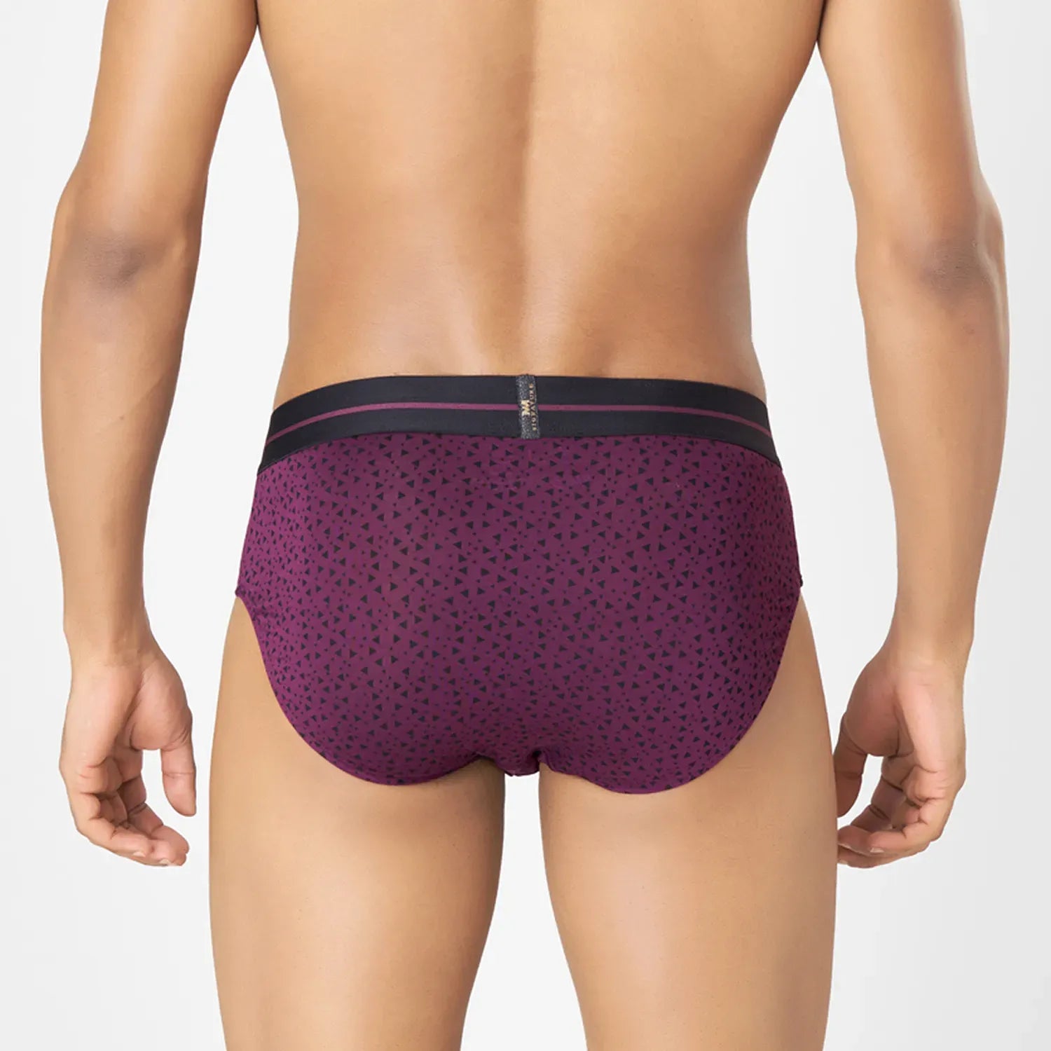MicroModal Printed Brief_ MMS8521